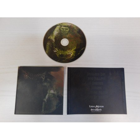 Dizziness - Abhorrent Flickering Of Obscurity CD