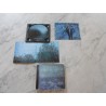 Colorless Forest - Those Who Come With The Rain CD