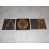 Epithalium - Ausrottung CD